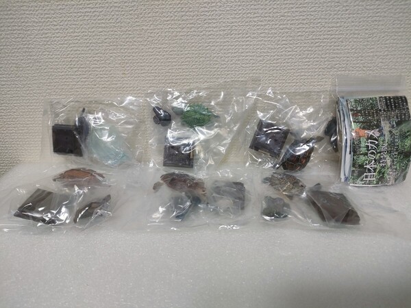 ネイチャーテクニカラー 日本のカメ 特装版 全6種 ミニブック付き フルコンプセット 新品 未開封