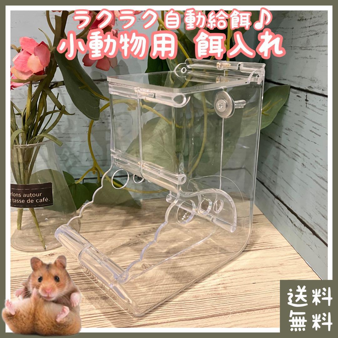 2025年最新】Yahoo!オークション -ゴールデンハムスターの中古品