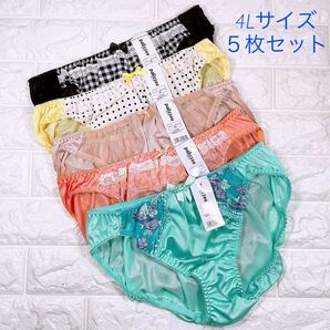 新品 パリシェショーツ5枚セット 4L