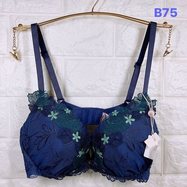 新品 トリンプ フロラーレ508 ブラジャー B75