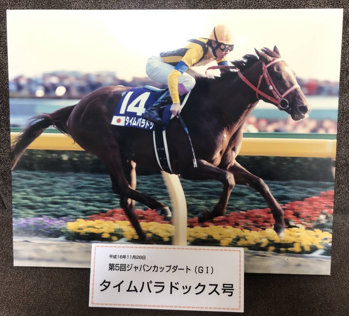 特価 スペシャルウィーク 武豊 天皇賞秋 競走馬 写真 パネル