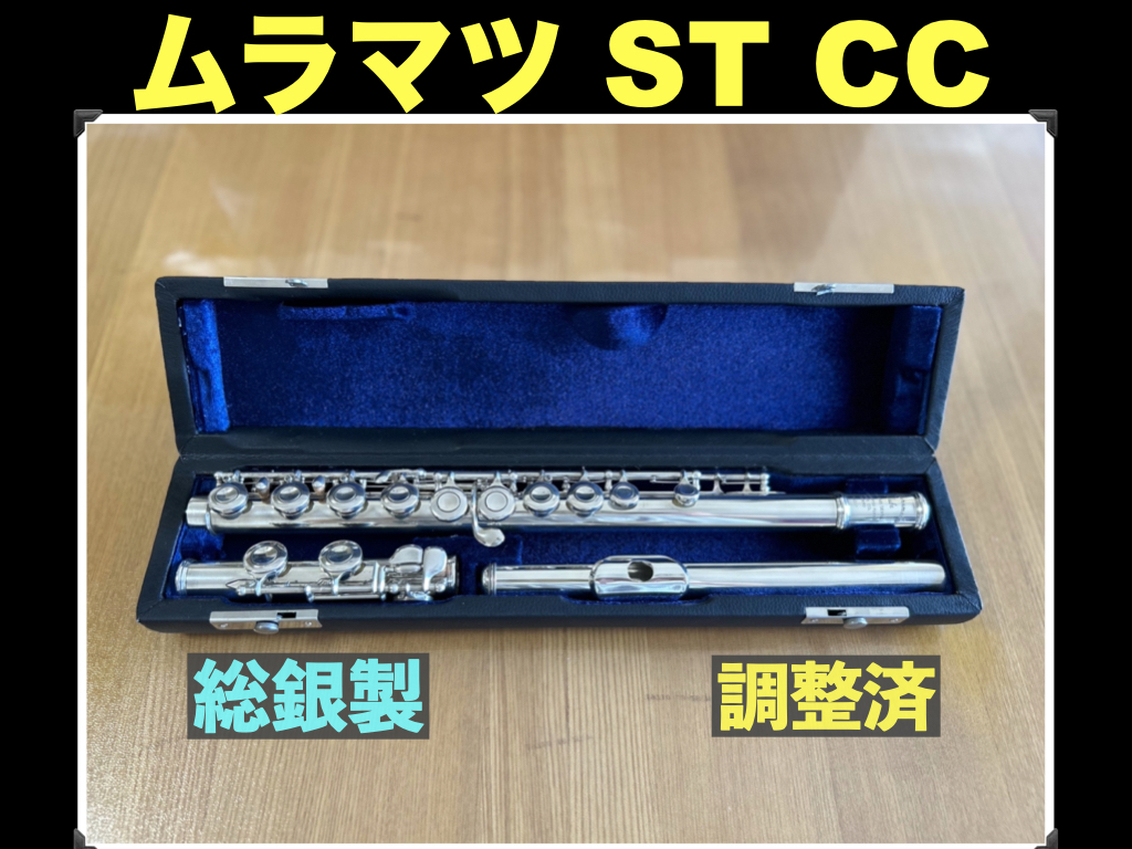 2025年最新】Yahoo!オークション -silver 925(フルート)の中古品 2025年最新】Yahoo!オークション -silver 925(フルート)の中古品
