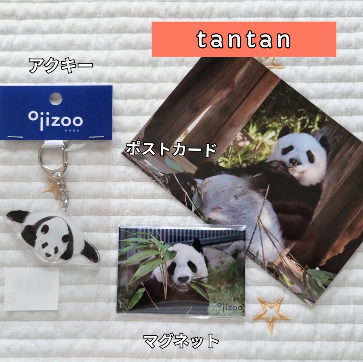 2025年最新】Yahoo!オークション -タンタン パンダの中古品 2025年最新】Yahoo!オークション -タンタン パンダの中古品