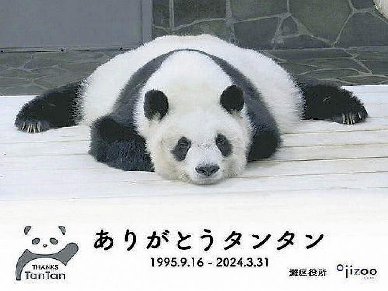 Yahoo!オークション -「タンタン」(パンダ) (動物)の落札相場 Yahoo!オークション -「タンタン」(パンダ) (動物)の落札相場