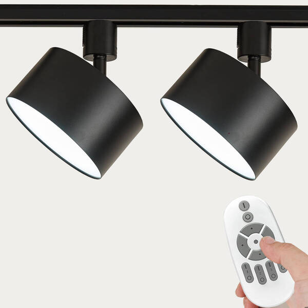 【コンパクトでおしゃれなミニシーリングライト】 ダクトレール用 黒 2個入り ライト おしゃれ 雰囲気作り LED アンティーク