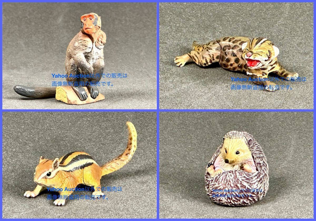 2025年最新】Yahoo!オークション -チョコエッグ 日本の動物 鳥の 2025年最新】Yahoo!オークション -チョコエッグ 日本の動物 鳥の