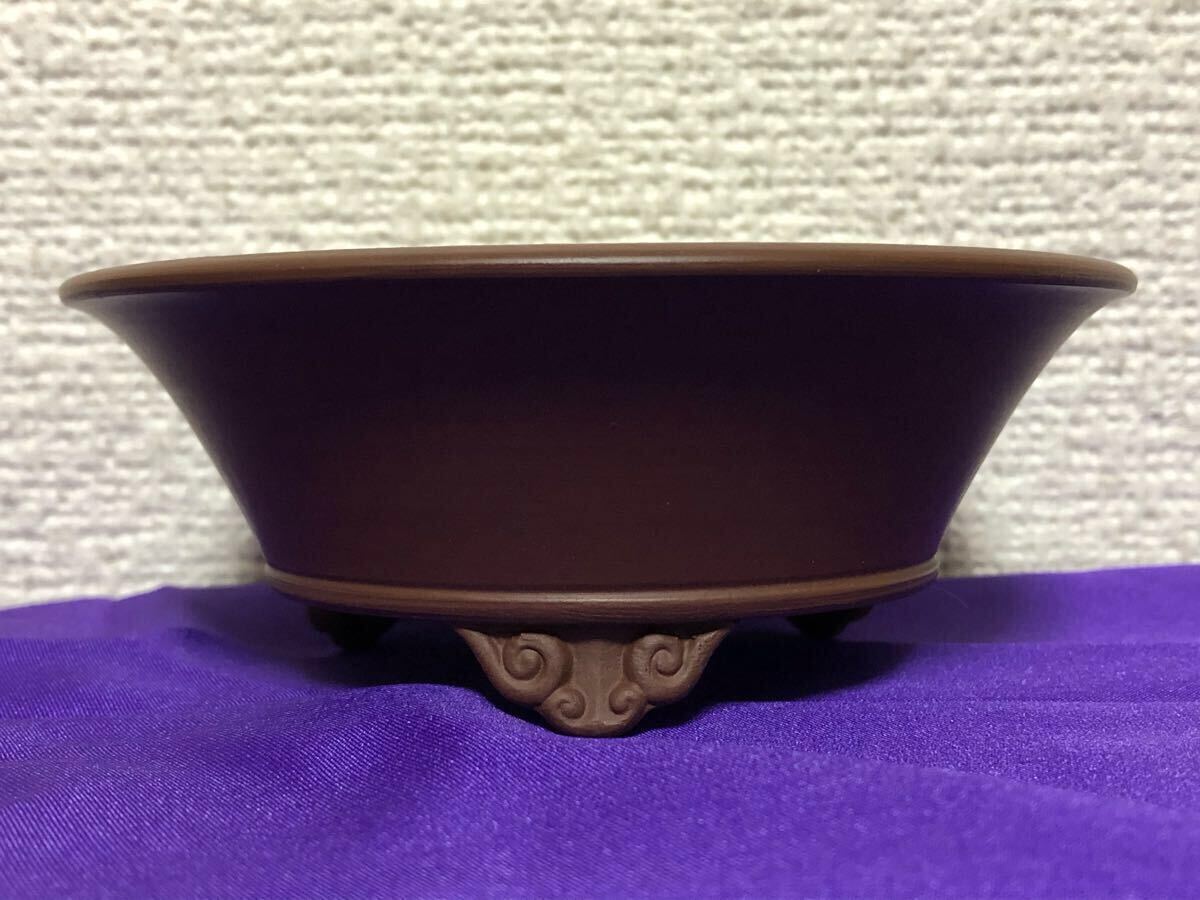 Yahoo!オークション -「美芸 鉢」の落札相場・落札価格 Yahoo!オークション -「美芸 鉢」の落札相場・落札価格