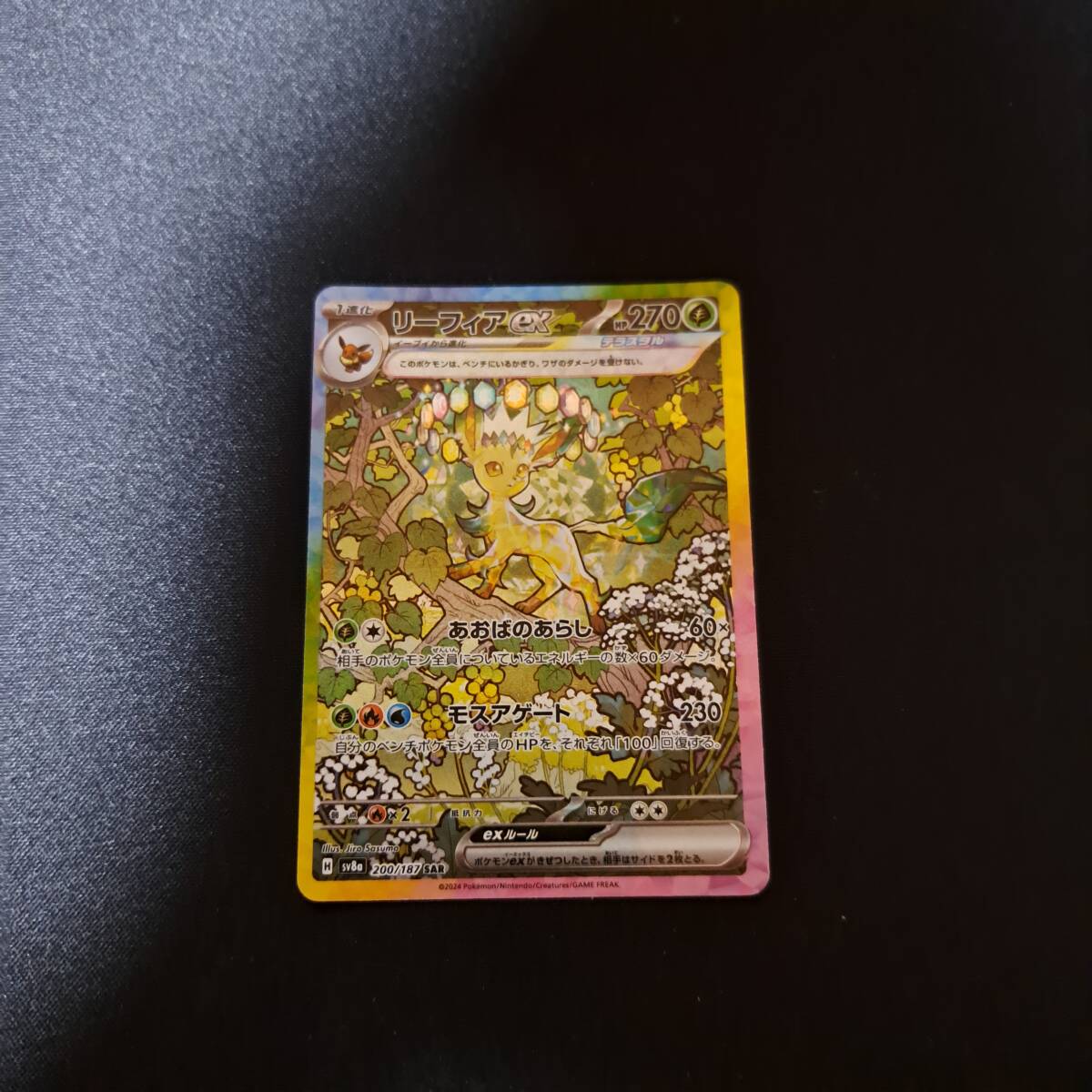 Yahoo!オークション -「ポケモンカード リーフィアex」の落札 Yahoo!オークション -「ポケモンカード リーフィアex」の落札