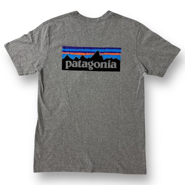 patagonia パタゴニア グレー Tシャツ ロゴ 定番 バックプリント