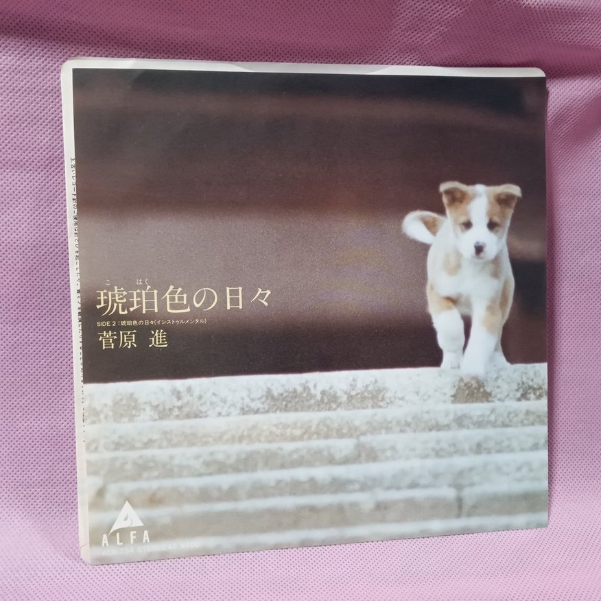 2025年最新】Yahoo!オークション -琥珀(音楽)の中古品・新品・未