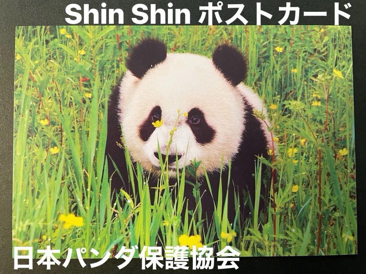 2025年最新】Yahoo!オークション -上野動物園(印刷物)の中古品 2025年最新】Yahoo!オークション -上野動物園(印刷物)の中古品