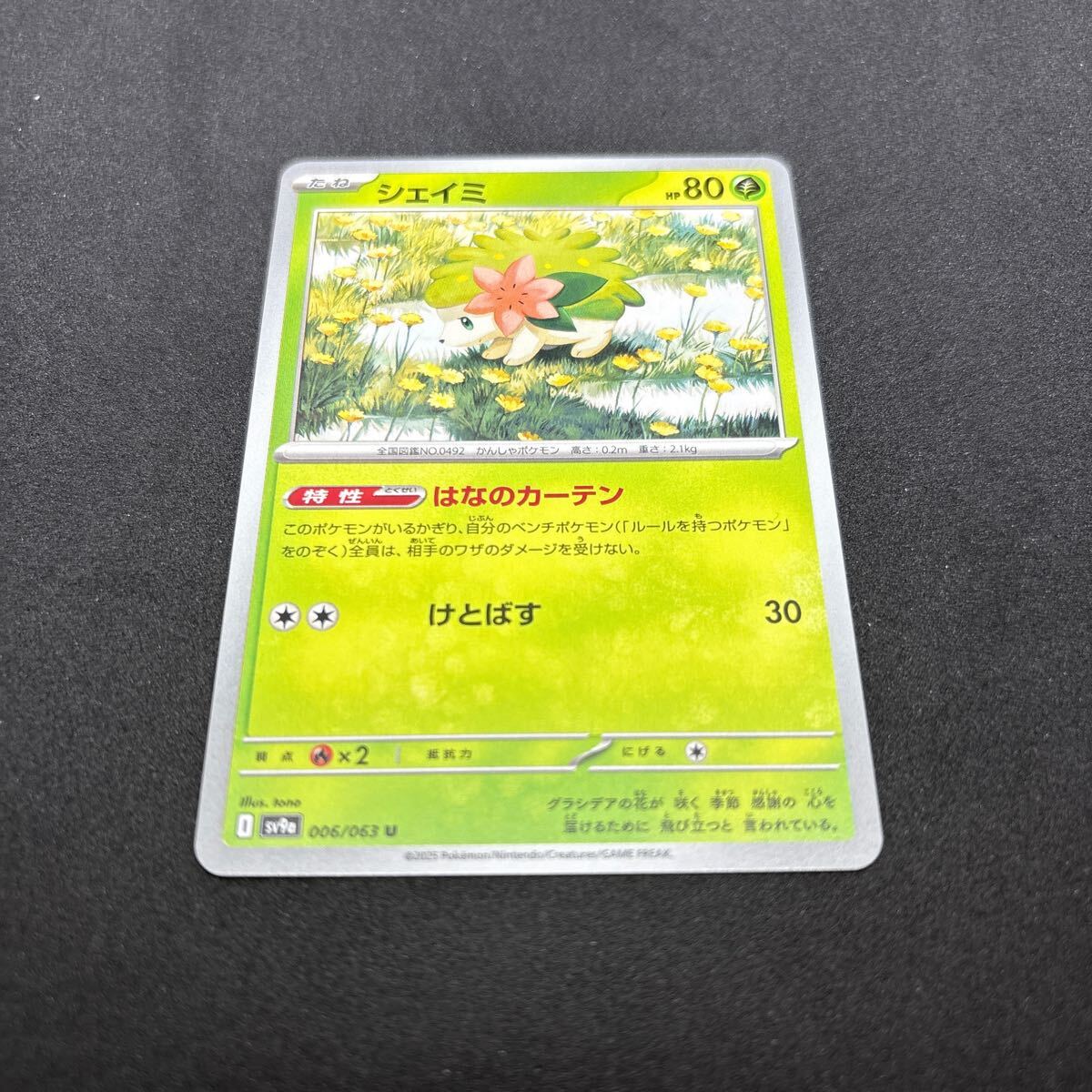 2025年最新】Yahoo!オークション -ポケモンカード シェイミ 2025年最新】Yahoo!オークション -ポケモンカード シェイミ