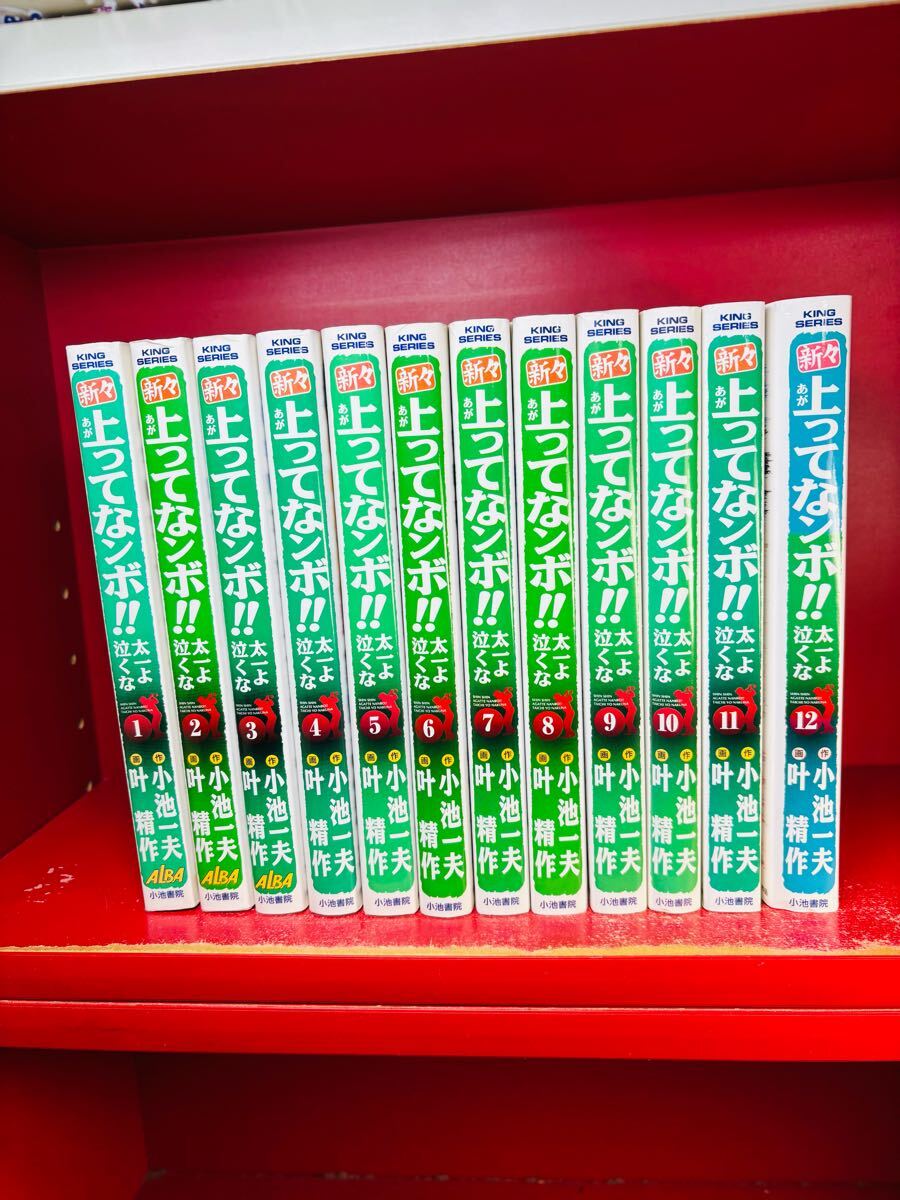 2025年最新】Yahoo!オークション -太一よ泣くなの中古品・新品 2025年最新】Yahoo!オークション -太一よ泣くなの中古品・新品