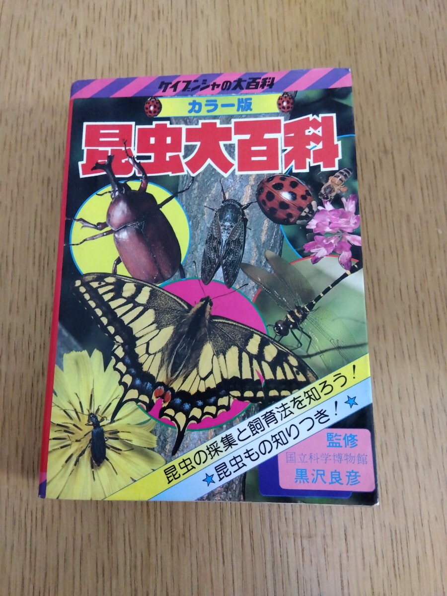 日本人気超絶の 2025年最新】Yahoo!オークション -カラー図鑑百科の中古品・新品 絵本・児童書