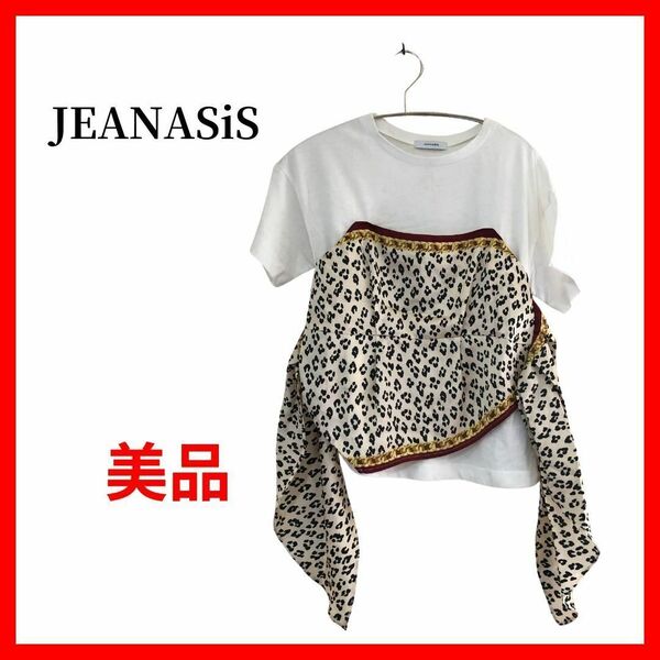 JEANASiS ジーナシス カットソー ヒョウ柄 Tシャツ レディース B1624