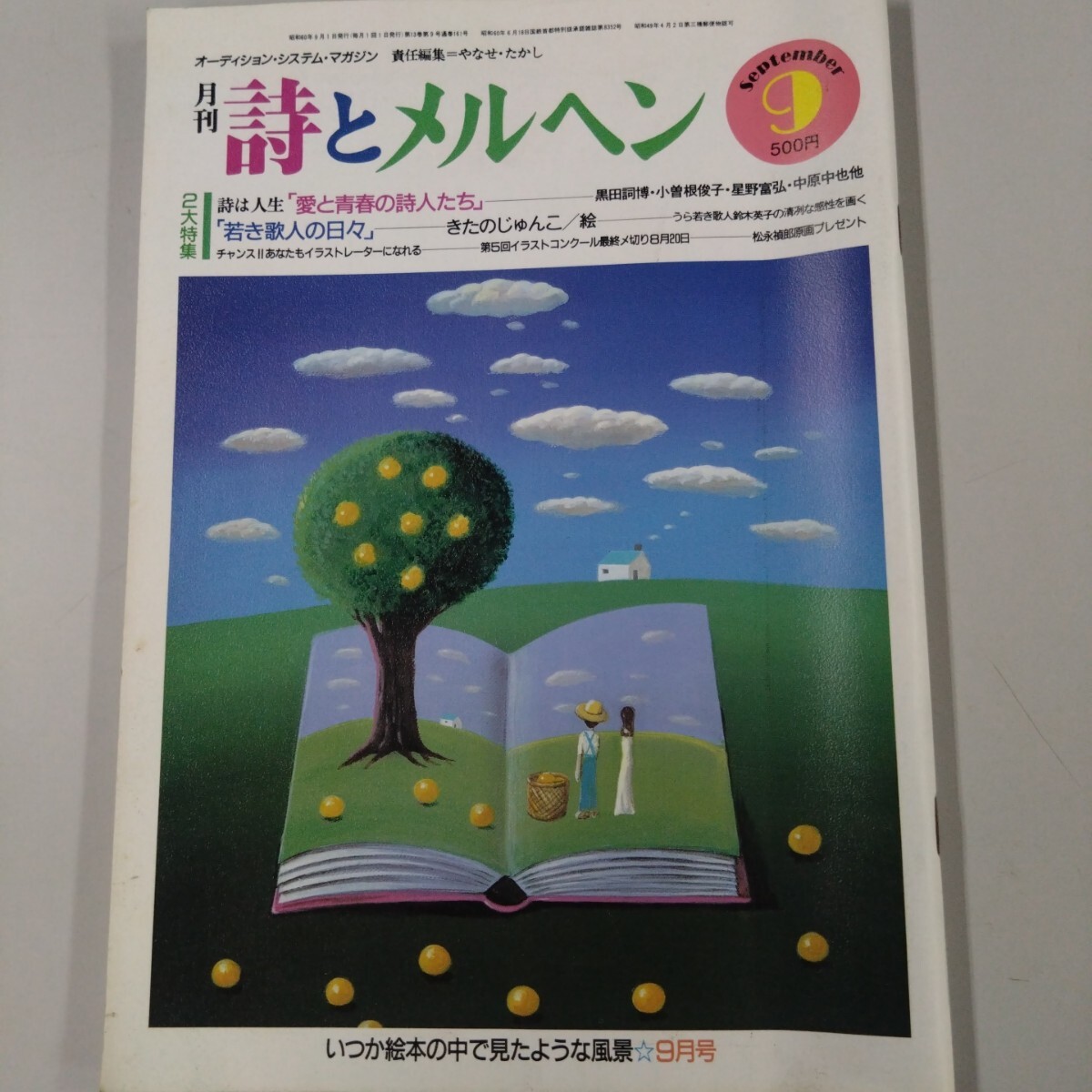 詩とメルヘン 創刊号~50号 - new&used vintage books 新刊・古書