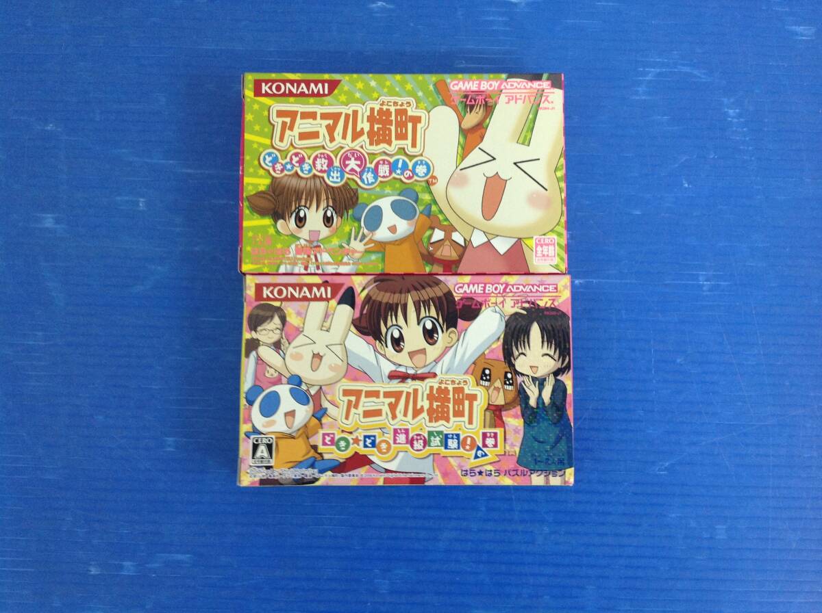2025年最新】Yahoo!オークション -アニマル横町の中古品・新品 2025年最新】Yahoo!オークション -アニマル横町の中古品・新品