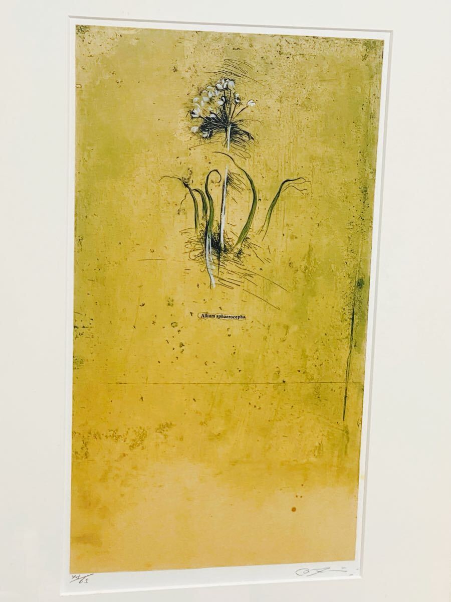 【国内正規総代理店アイテム】 ブローバ :: Yahoo!Auction｜DEJAPAN - Bid and Buy Japan with 絵画