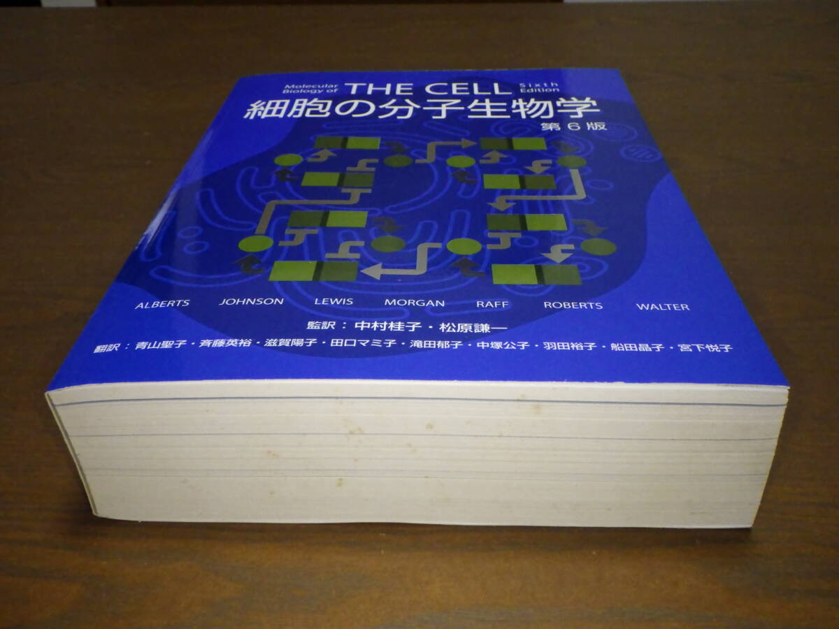 Yahoo!オークション -「細胞の分子生物学」の落札相場・落札価格 Yahoo!オークション -「細胞の分子生物学」の落札相場・落札価格