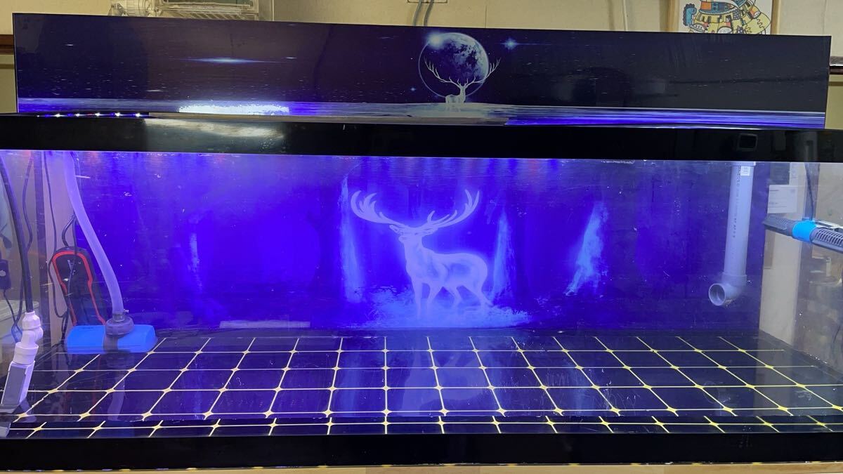 中古アクリル水槽 1800×600×500H 10mm 引き取り限定(名古屋市緑