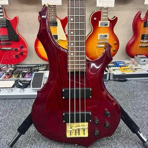 【10126】 Edwards Forest Bass フォレスト ベース 赤
