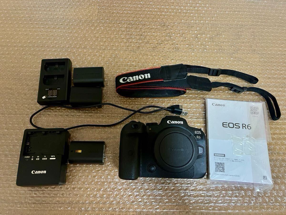 2025年最新】Yahoo!オークション -eos r6 ボディの中古品・新品 2025年最新】Yahoo!オークション -eos r6 ボディの中古品・新品