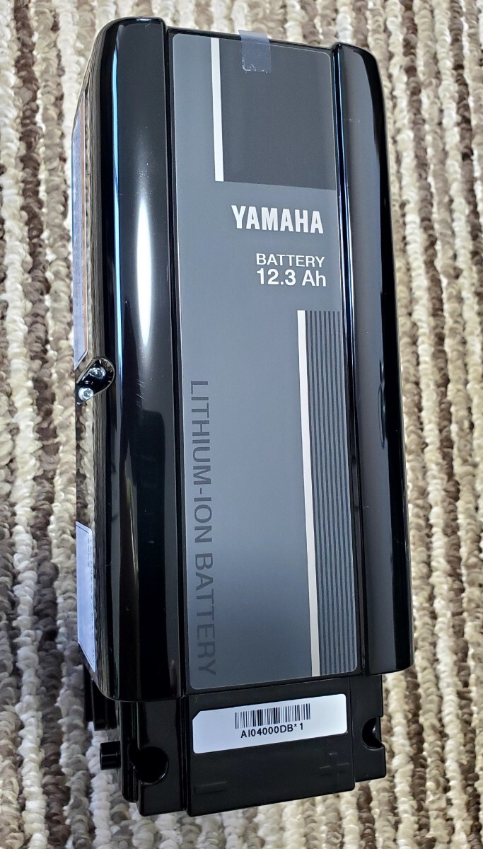 2025年最新】Yahoo!オークション -yamaha pas バッテリー(パーツ 2025年最新】Yahoo!オークション -yamaha pas バッテリー(パーツ