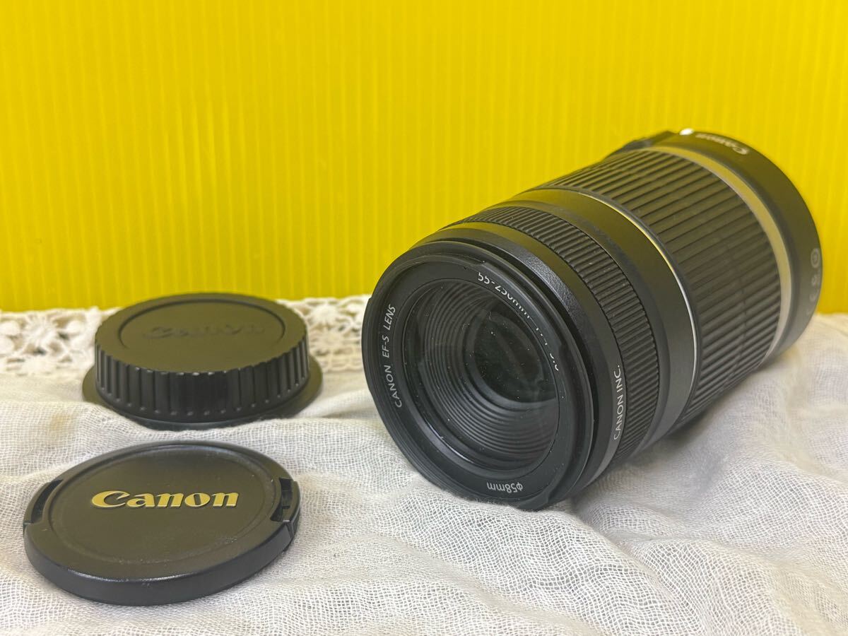 2025年最新】Yahoo!オークション -ef-s55-250mmの中古品・新品