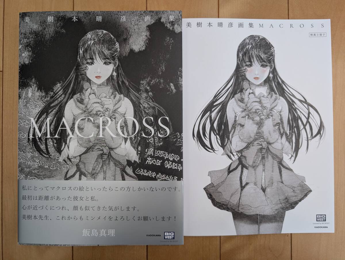 Yahoo!オークション -「超時空要塞マクロス」(コミック、アニメ Yahoo!オークション -「超時空要塞マクロス」(コミック、アニメ