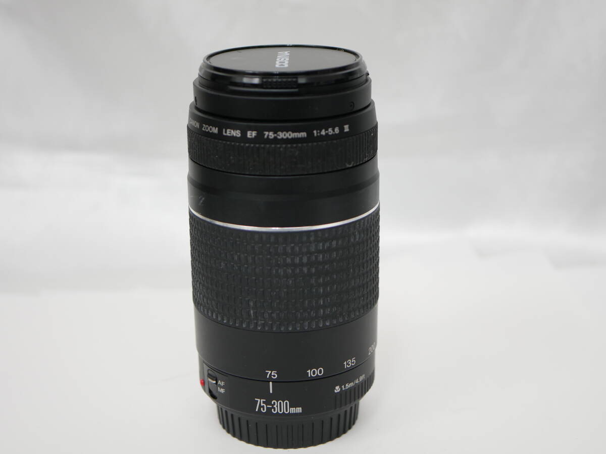 2025年最新】Yahoo!オークション -canon 望遠レンズ 300mmの中古 2025年最新】Yahoo!オークション -canon 望遠レンズ 300mmの中古