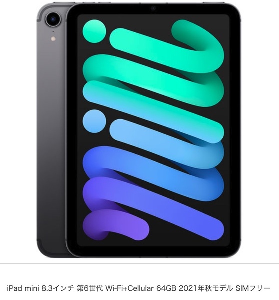 iPad mini 8.3インチ 第6世代 Wi-Fi+Cellular 64GB 2021年秋モデル SIMフリー MK893J/A スペースグレイ (新品未開封品)