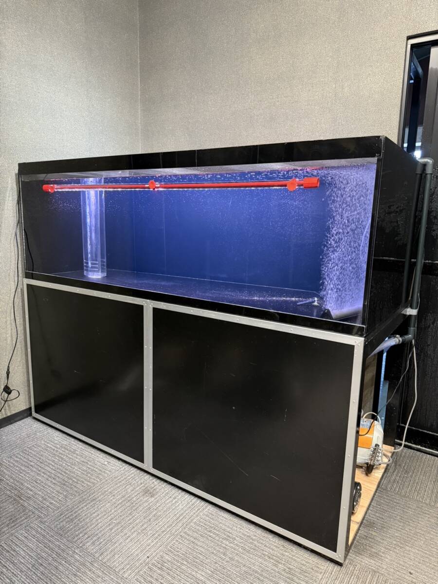 Yahoo!オークション -「アクリル水槽 900」(180cm~) (水槽)の Yahoo!オークション -「アクリル水槽 900」(180cm~) (水槽)の