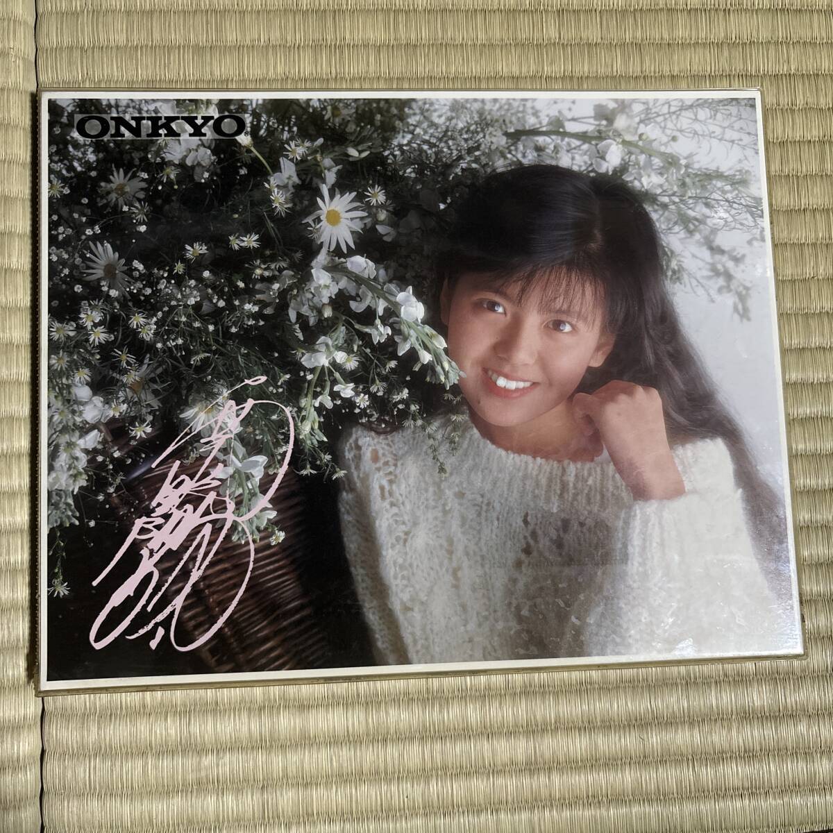 ONKYO Radian / 南野陽子 | LIGHTLEAF