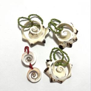 貝殻 シェル 渦巻き チャーム 夏 4個 ペンダント 天然素材 トライバル風