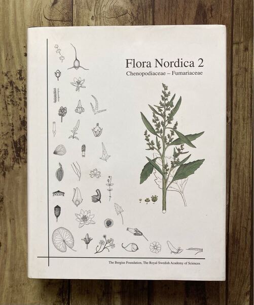 稀少な北欧の植物事典 Flora Nordica 2 英語 洋書