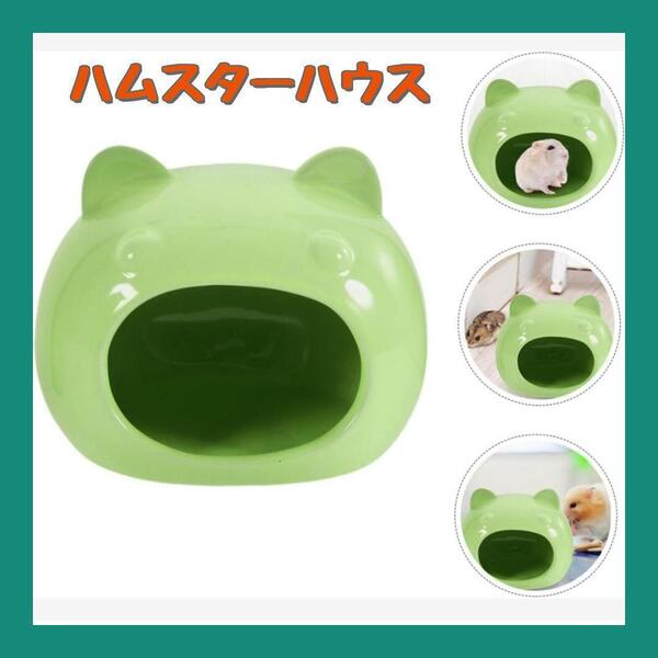 新品未使用!隠れ家 ハムスターハウス ハムスター 小動物 家 ハウス 寝床 陶器 遊び場 緑 トイレ セラミック素材