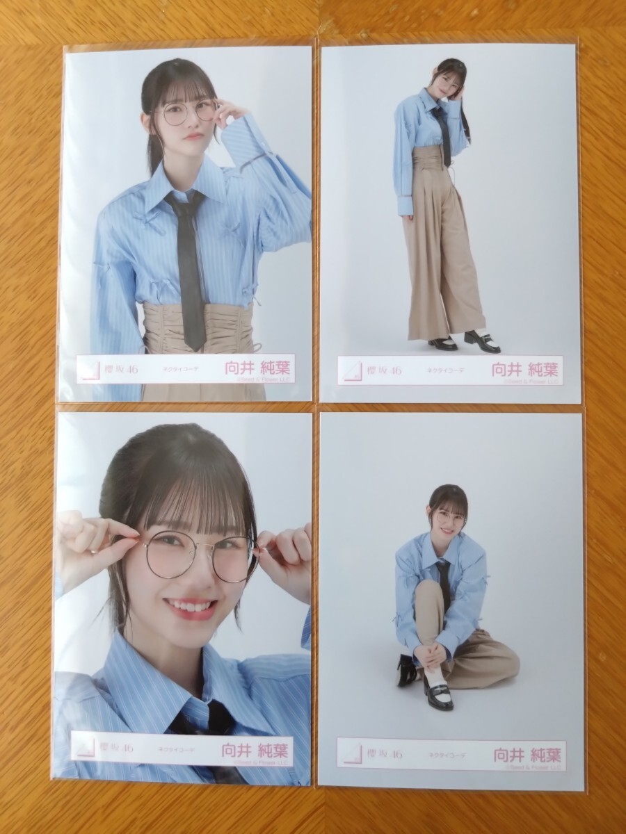 2025年最新】Yahoo!オークション -向井純葉の中古品・新品・未 2025年最新】Yahoo!オークション -向井純葉の中古品・新品・未