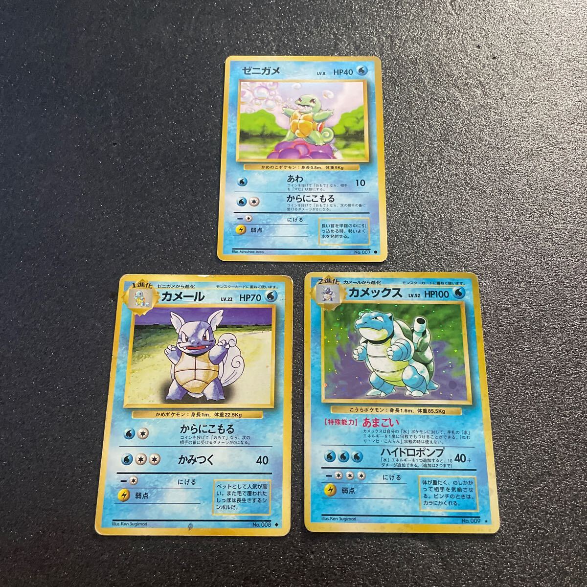2025年最新】ポケモンカード 旧 カメックスの豊富な商品一覧 2025年最新】ポケモンカード 旧 カメックスの豊富な商品一覧