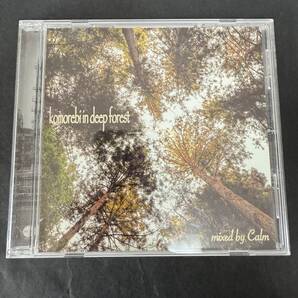 【出品2025/7/15日まで】Calm komorebi in deep forest COMPILED AND MIXED 非売品 JETSETノベルティ