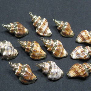 本物 貝殻 シェル カン付 チャーム パーツ 11個セット!