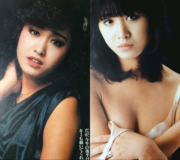 三原順子 1980年〜1982年 大量 切り抜き ファイル 1冊 56P