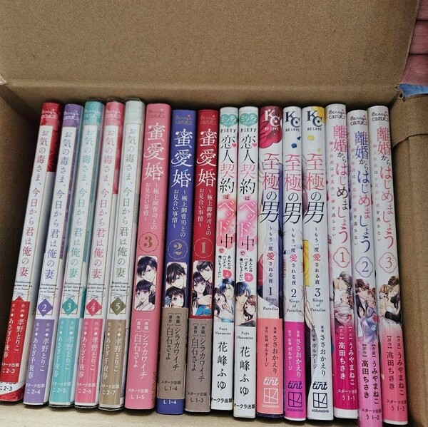 お気の毒さま今日から君は俺の妻 密愛婚 至極の男 他 16冊 完結