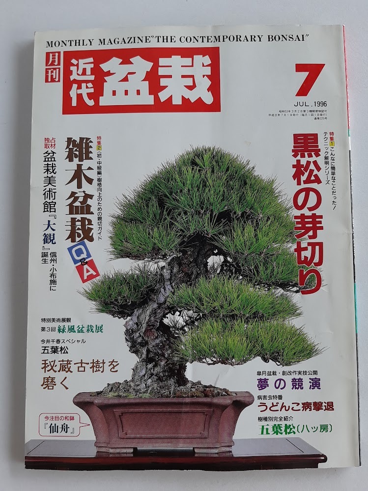 2025年最新】Yahoo!オークション -松 盆栽(本、雑誌)の中古品 2025年最新】Yahoo!オークション -松 盆栽(本、雑誌)の中古品