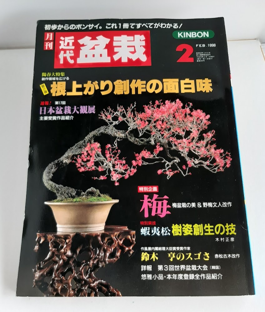 2025年最新】Yahoo!オークション -蝦夷松 盆栽の中古品・新品 2025年最新】Yahoo!オークション -蝦夷松 盆栽の中古品・新品