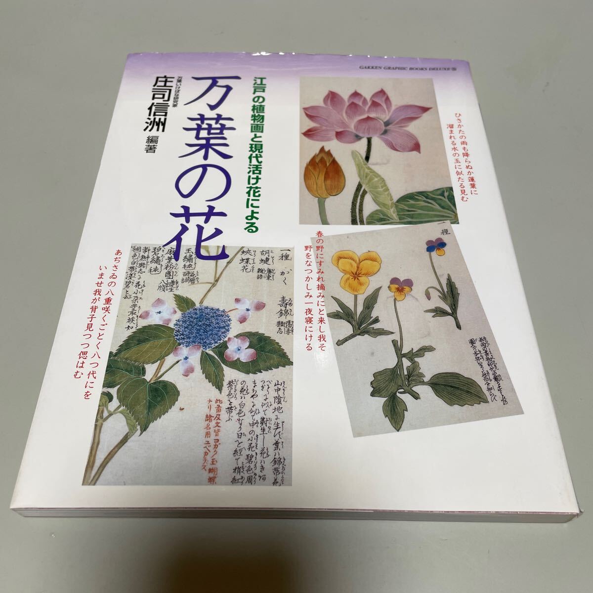 2025年最新】Yahoo!オークション - 野草、植物(花、園芸)の中古 2025年最新】Yahoo!オークション - 野草、植物(花、園芸)の中古