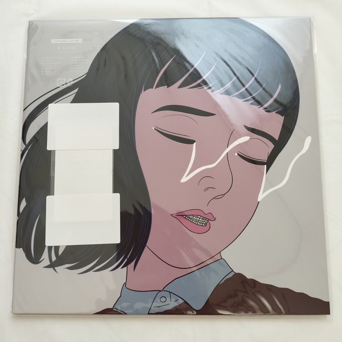 新品未使用 マカロニえんぴつ LPレコード盤