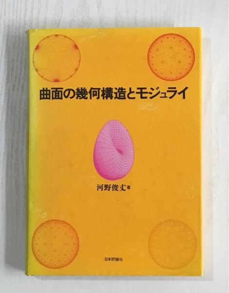 「曲面の幾何構造とモジュライ」河野俊丈