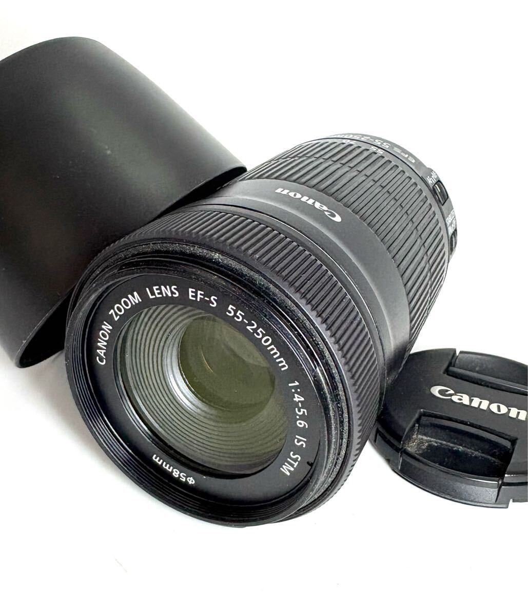 2025年最新】Yahoo!オークション -ef-s55-250mm f4-5.6 is stmの 2025年最新】Yahoo!オークション -ef-s55-250mm f4-5.6 is stmの