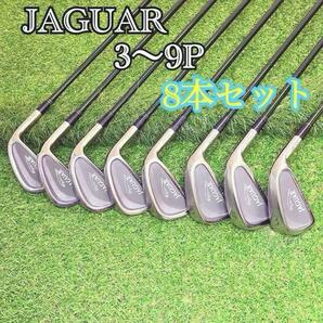 希少 入手困難 JAGUAR ジャガー 3〜9P アイアンセット メンズゴルフクラブ 8本セット 即戦力 ラウンド仕様 ジャガーマニア コレクション