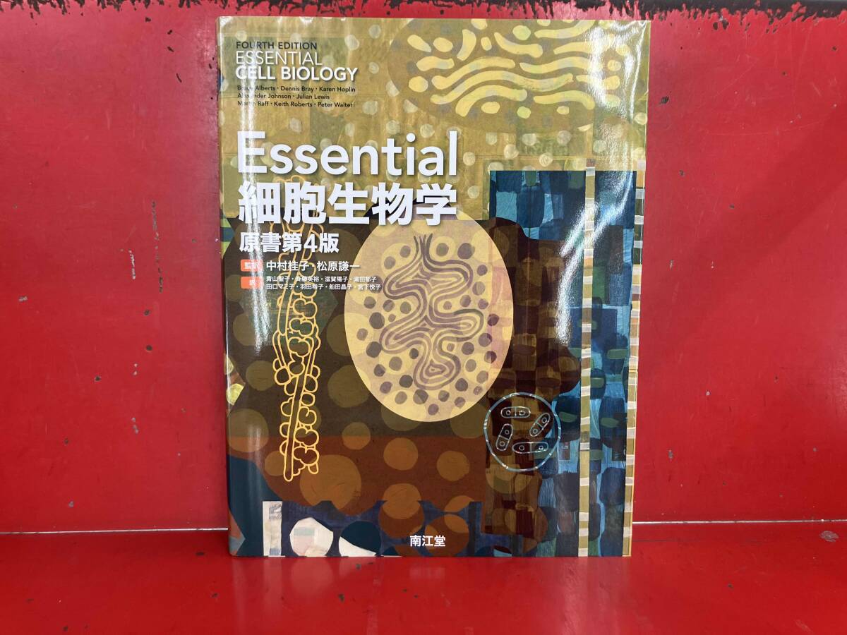 2025年最新】Yahoo!オークション -essential細胞生物学の中古品 2025年最新】Yahoo!オークション -essential細胞生物学の中古品